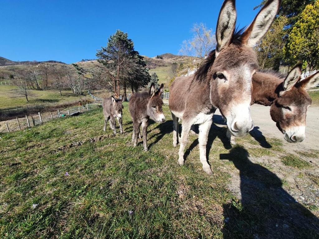 Cuccaro Club - Val Di Vara E Cinque Terre Rocchetta di Vara Kültér fotó