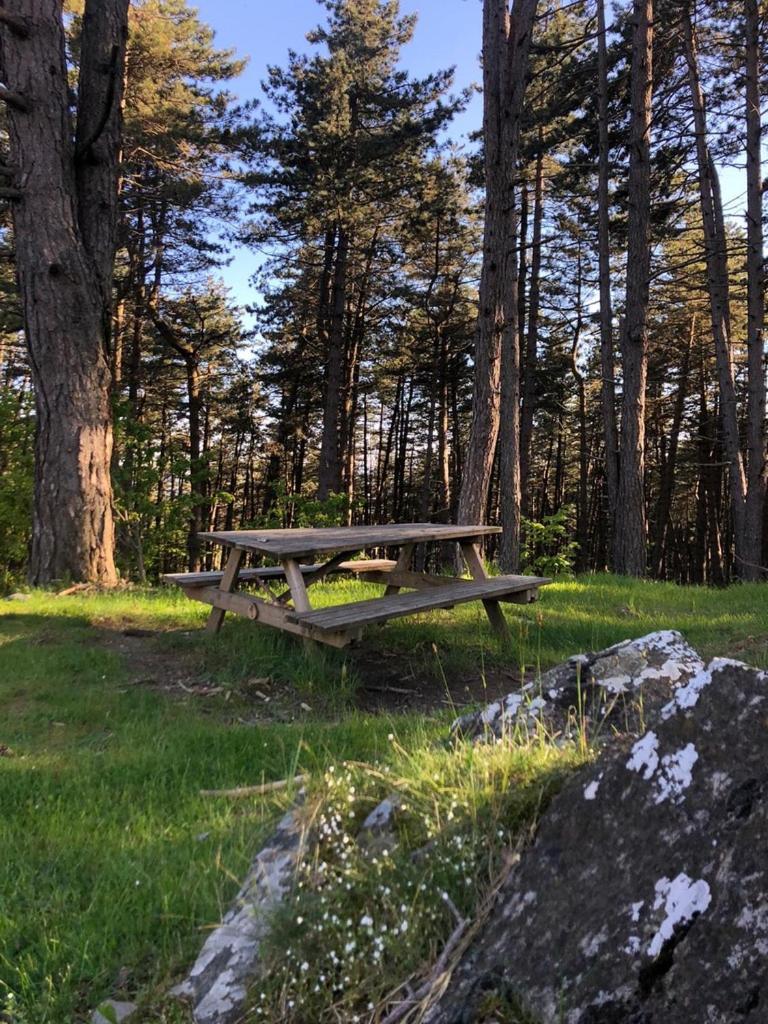 Cuccaro Club - Val Di Vara E Cinque Terre Rocchetta di Vara Kültér fotó